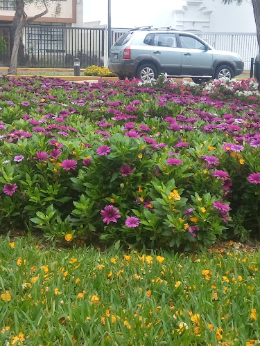 Campo Deportivo 1 de Mayo - Lima