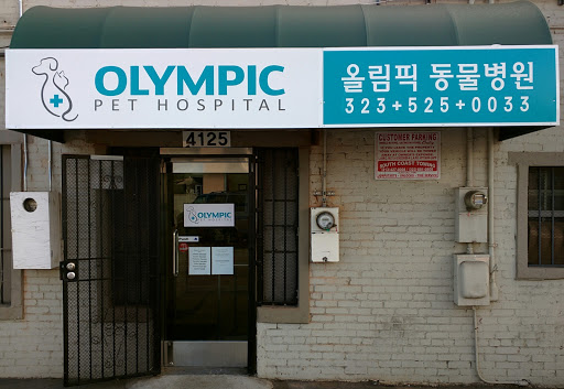 Olympic Pet Hospital