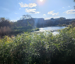 Lonehill Municipal Nature Reserve photo