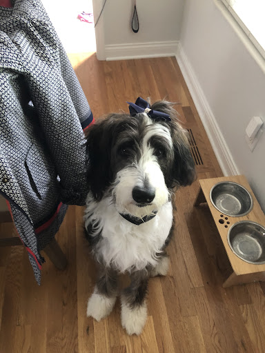 173 Lamp and Lantern Village, Chesterfield, MO 63017, USA