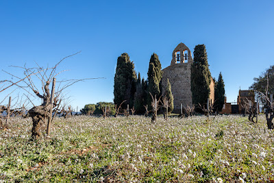 Eglise Saint Martin de Gasparets à Boutenac