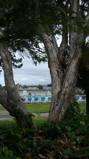 Gym «Harbor Bay Club», reviews and photos, 200 Packet Landing Rd, Alameda, CA 94502, USA