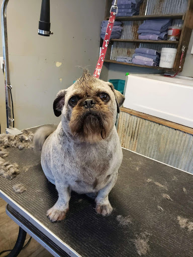 Southern Paw Pet Parlor