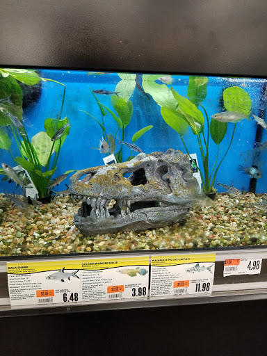 Pet Supply Store «Pet Supplies Plus», reviews and photos, 1030 Main St #10, Waltham, MA 02451, USA