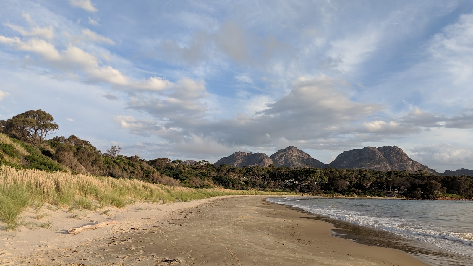 Foto von Muirs Beach mit geräumige bucht