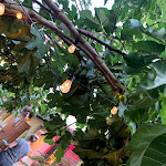 Photo n°4 de l'avis de M. fait le 20/09/2020 à 19:04 sur le  Kaufmanns à Gelnhausen