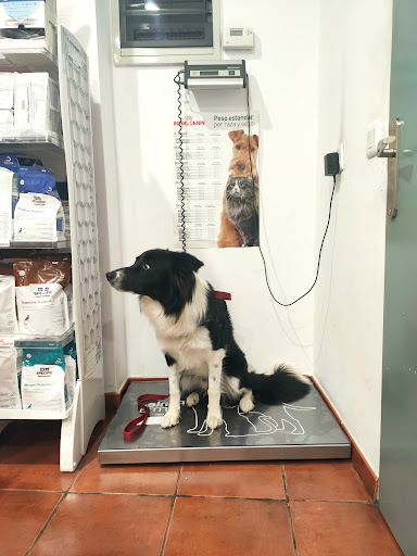 Centro Clínico Veterinario Los Pericones en Gijón