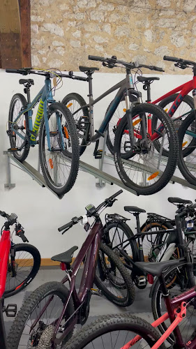 Reviews of Wight Bike Eco Solutions in Newport - Bicycle store