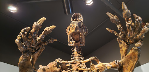 Museum «Museum of Natural and Cultural History», reviews and photos, 1680 E 15th Ave, Eugene, OR 97401, USA