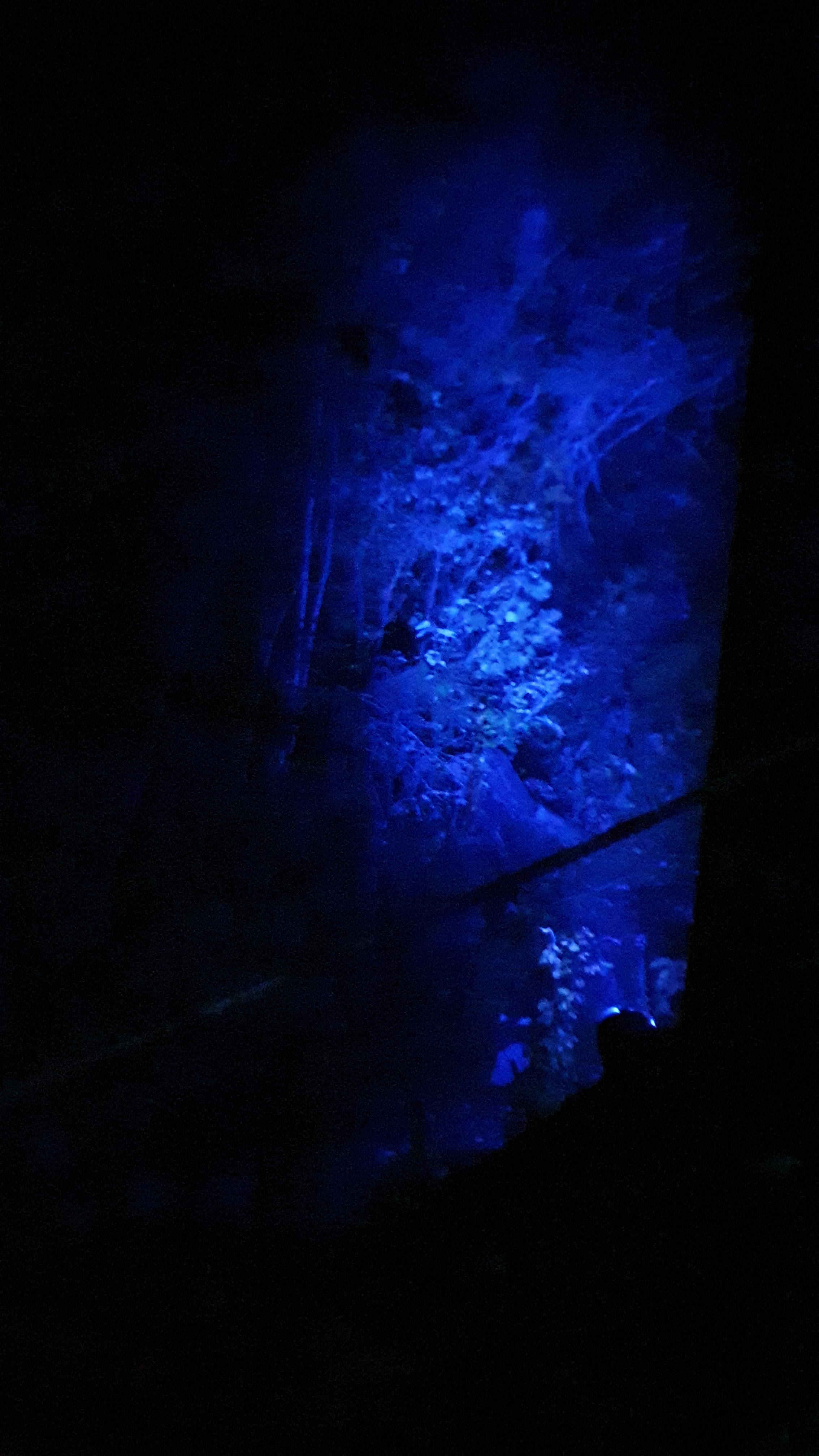 Photo n° 2 de l'avis de Stephanie.l fait le 19/10/2020 à 19:44