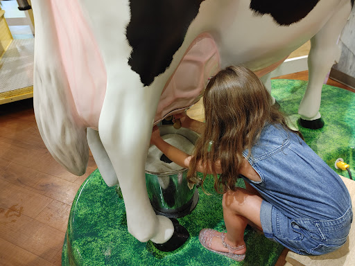 Amusement Center «Turkey Hill Experience», reviews and photos, 301 Linden St, Columbia, PA 17512, USA