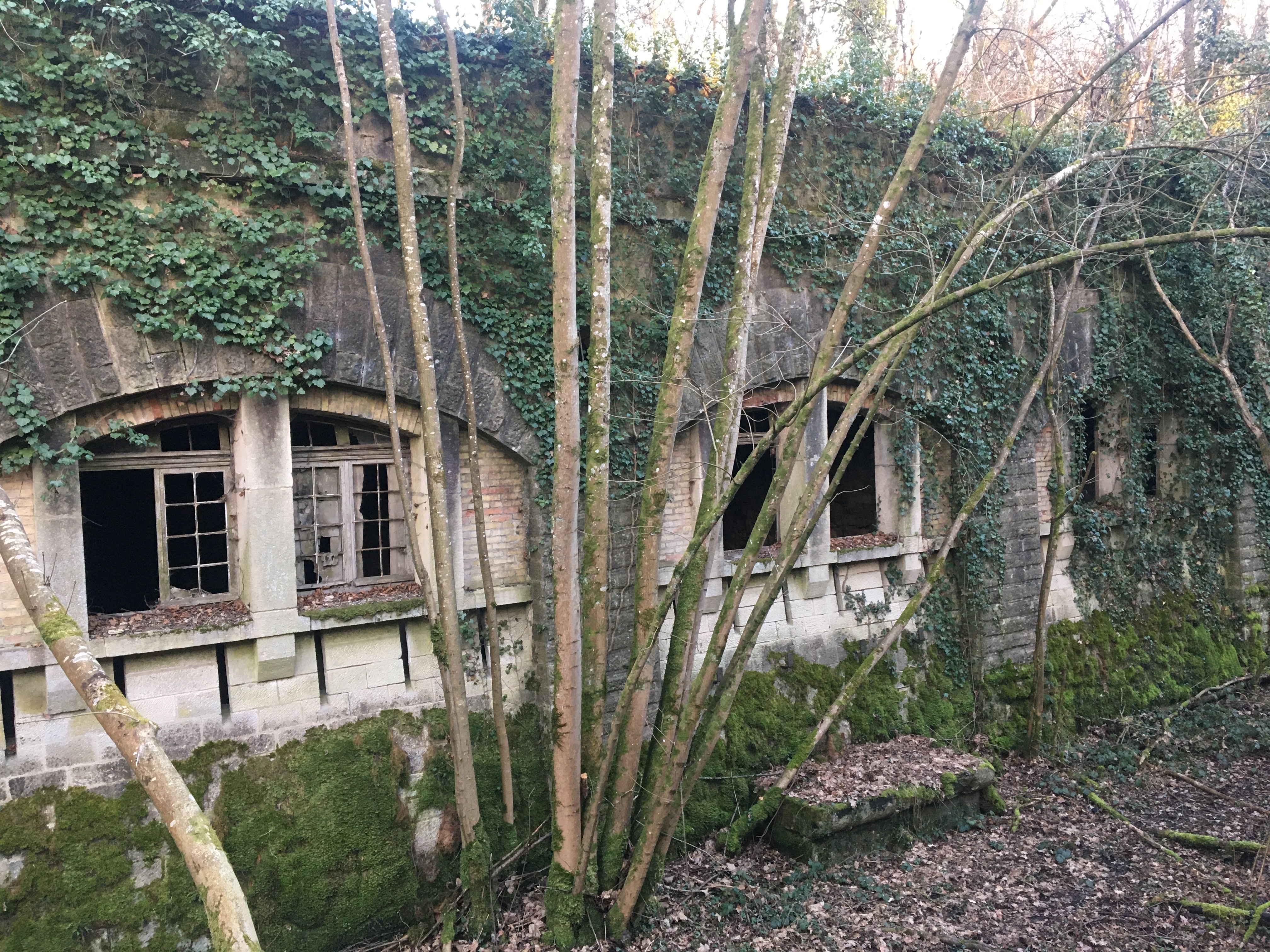 Photo n° 1 de l'avis de abies.o fait le 03/03/2021 à 17:22
