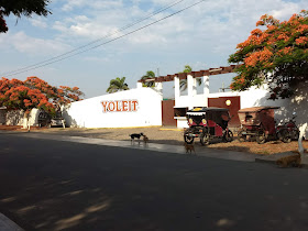 Yoleit-Planta Jequetepeque
