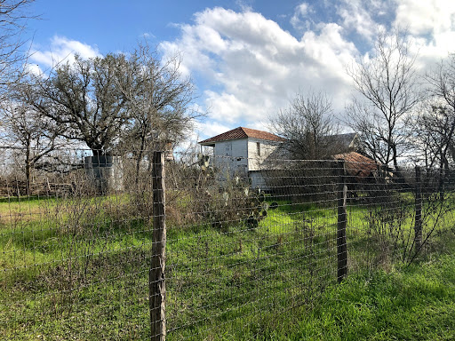Palo Alto Road Trailhead