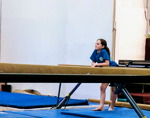 Gymnastics Club «Farmington Valley Gymnastics & More, LLC», reviews and photos, 5 Northwest Dr, Plainville, CT 06062, USA