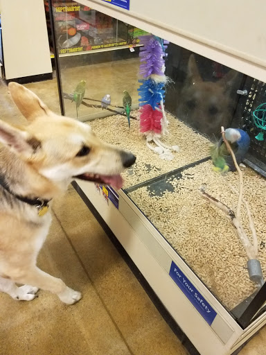 Pet Supply Store «PetSmart», reviews and photos, 420 Home Dr, Pittsburgh, PA 15275, USA