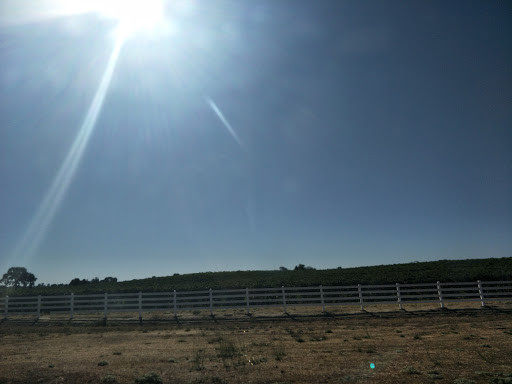 Market «Biglieri Farms Farm Market», reviews and photos, 17815 CA-88, Clements, CA 95227, USA