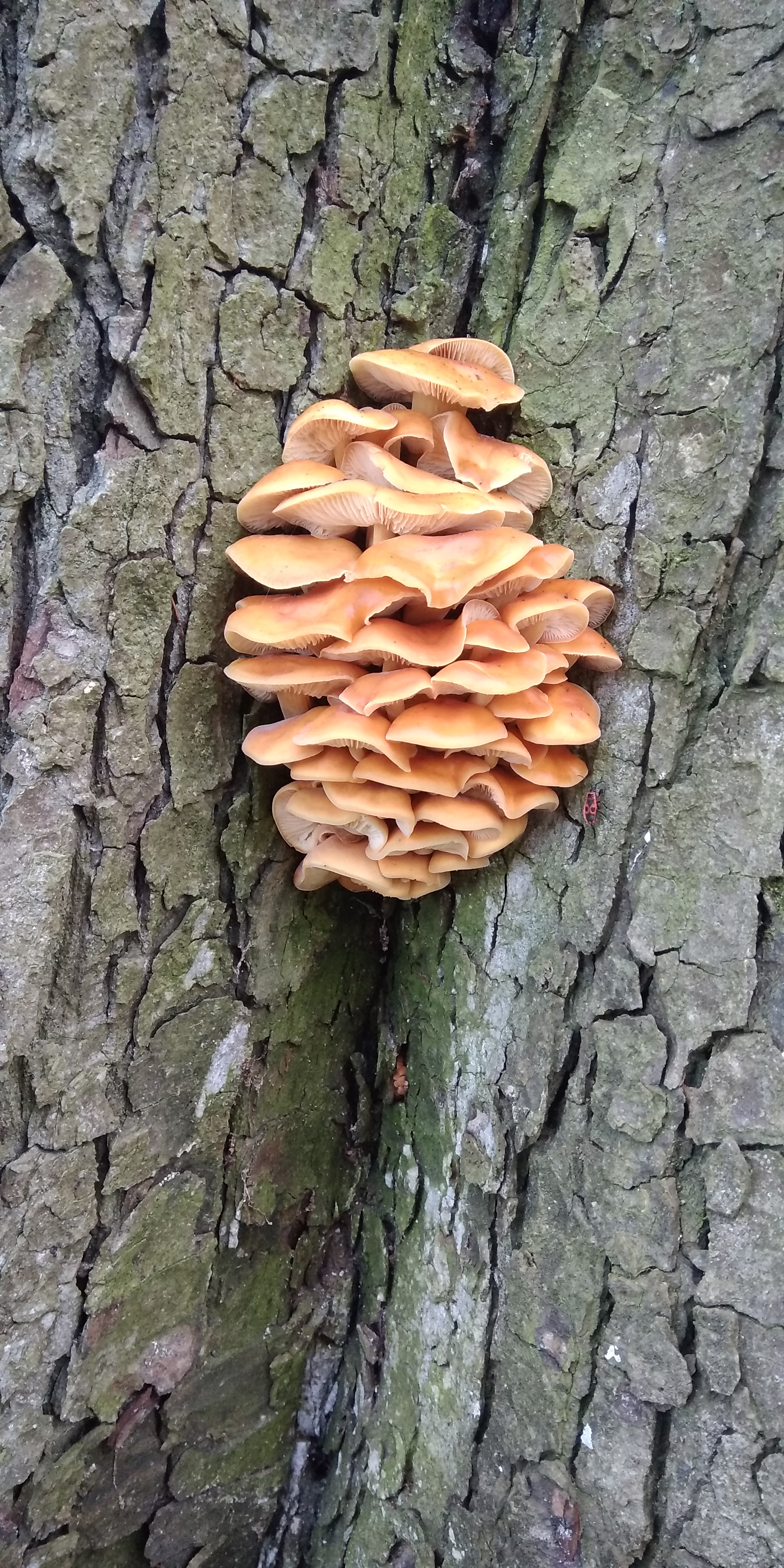 Photo n° 3 de l'avis de Jocelyne.a fait le 04/03/2020 à 16:24