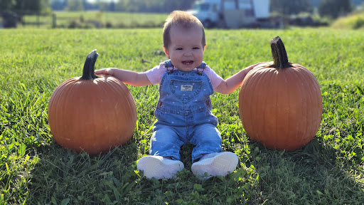 Produce Market «Buckland Farm Market», reviews and photos, 4484 Lee Hwy, Warrenton, VA 20187, USA