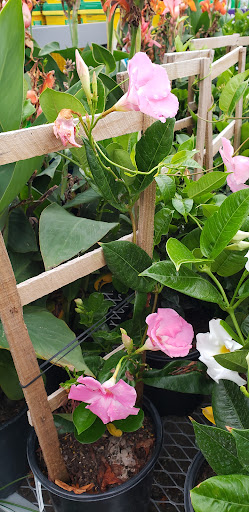 Home Improvement Store «The Home Depot», reviews and photos, 4150 Joslyn Rd, Auburn Hills, MI 48326, USA