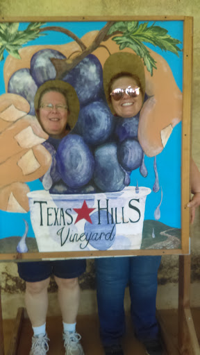 Vineyard «Texas Hills Vineyard», reviews and photos, 878 Ranch Rd 2766, Johnson City, TX 78636, USA