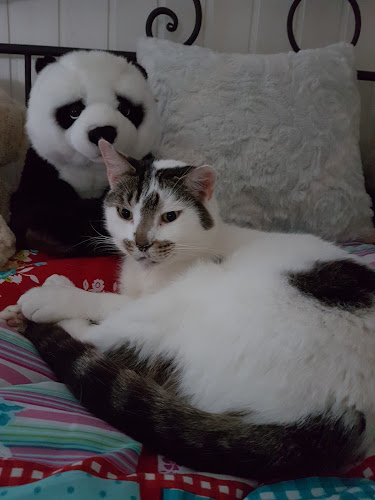 Zeshoekstraat 118, 9190 Stekene