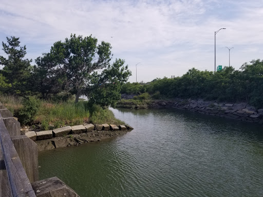 Park «Dorchester Shores Reservation Victory Road Park», reviews and photos, Victory Rd, Dorchester, MA 02122, USA