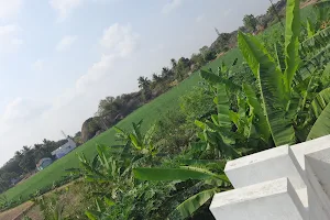 Govindasamy Garden image