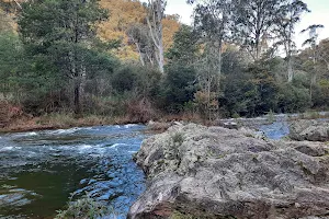 Mermaid Beach image