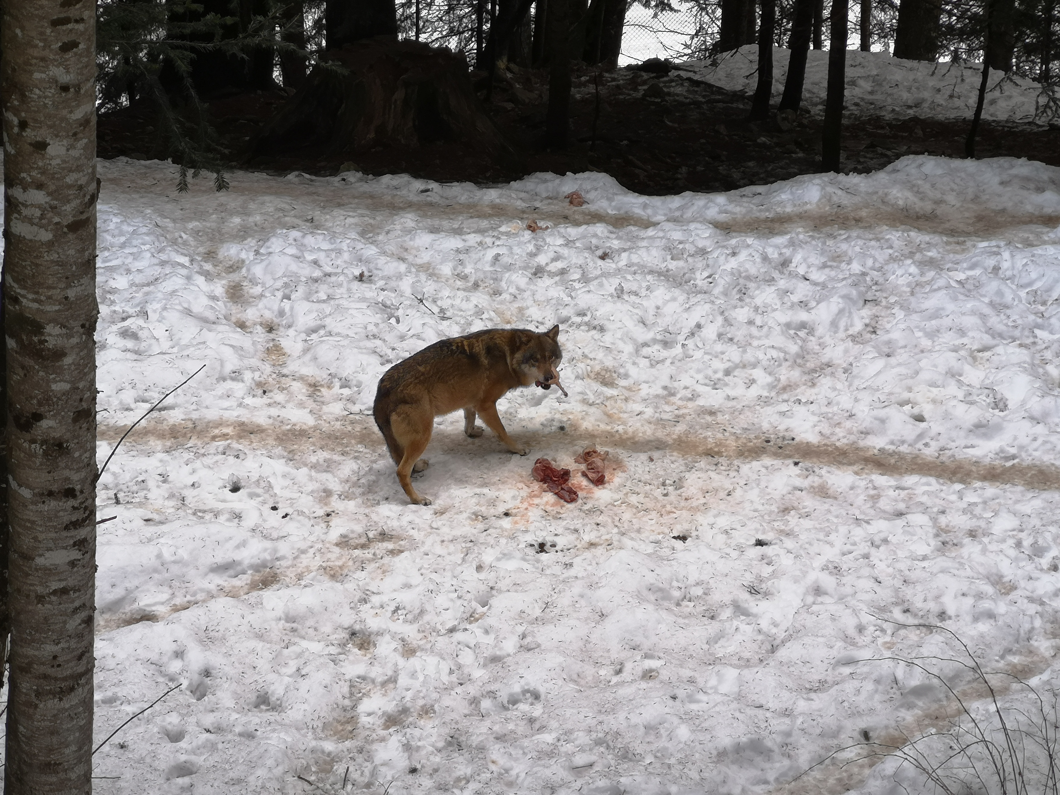 Photo n° 2 de l'avis de M. fait le 06/02/2020 à 09:02