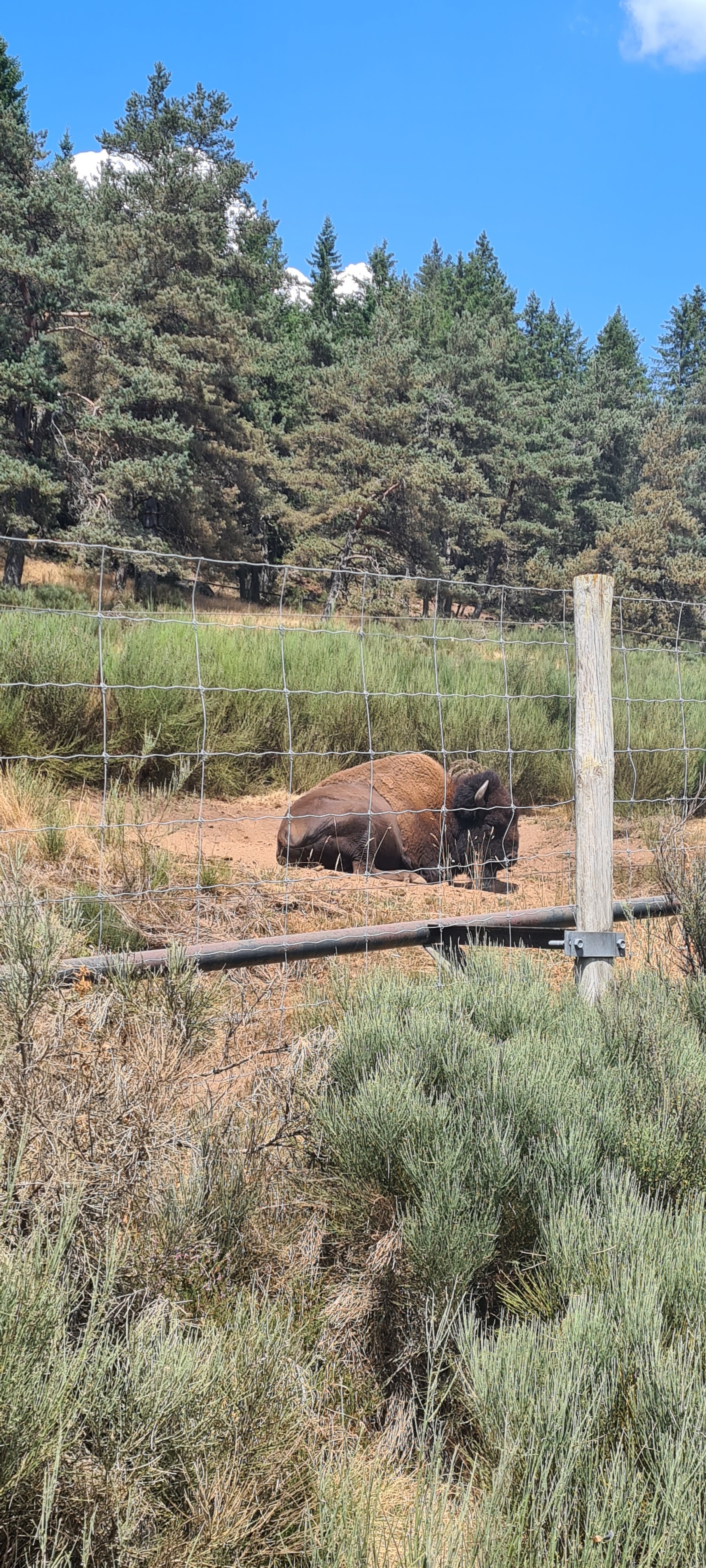 Photo n° 11 de l'avis de Marion.a fait le 05/08/2022 à 13:21
