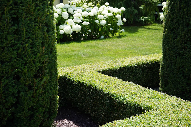 Vorlet Paysages SA - Gartenbauer