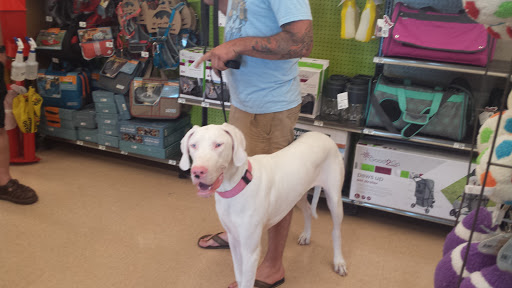 Pet Supply Store «Petco Animal Supplies», reviews and photos, 4665 Garth Rd #400, Baytown, TX 77521, USA