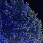 Photo n°6 de l'avis de Stefano.o fait le 21/05/2021 à 15:25 sur le  Enjoy cafe à Capodrise