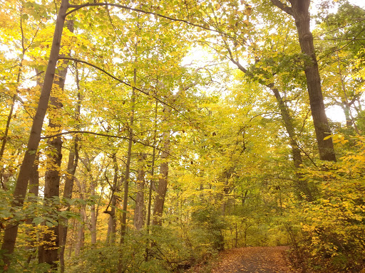 Park «Inwood Hill Park», reviews and photos, Dyckman St, New York, NY 10452, USA