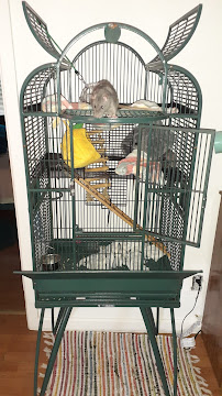 Ebeling's Pet Center - Photo 7 - Car repair in Baldwinsville, NY, Syracuse