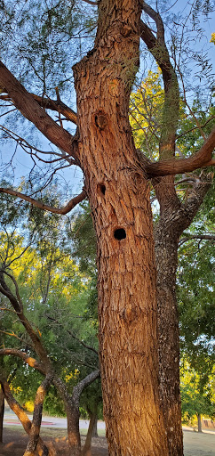 Park «Cravens Park», reviews and photos, 400 Cravens Park Dr, Arlington, TX 76018, USA