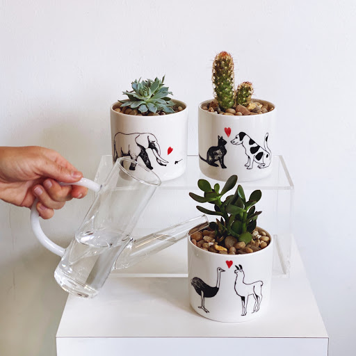 Florist «A Village of Flowers», reviews and photos, 1712 21st Ave S, Nashville, TN 37212, USA