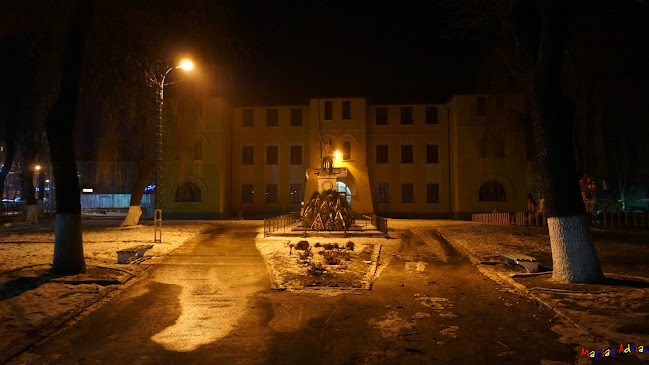 Opinii despre Scoala Gimnaziala "Teodora Lucaciu" nr.1 în Vulcan - Școală