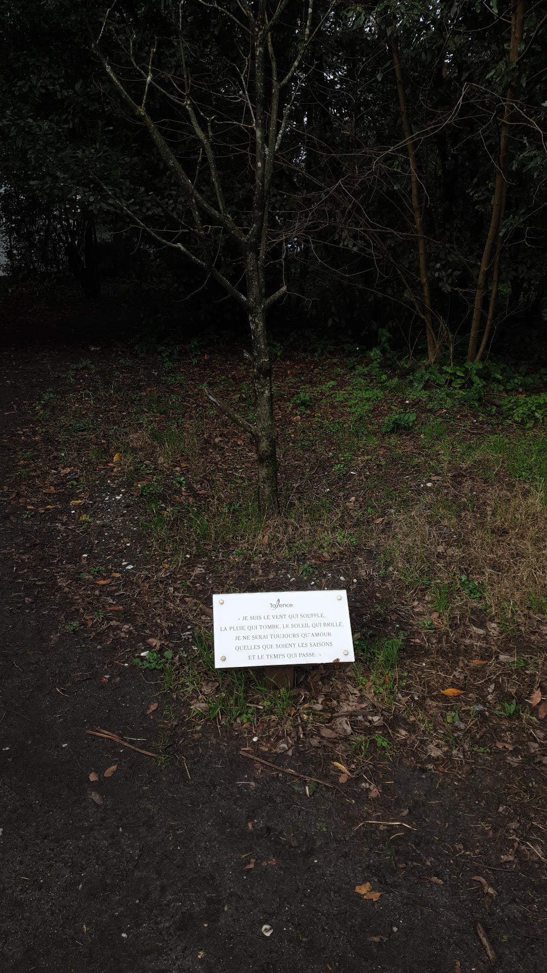 Photo n° 2 de l'avis de Cyril.a fait le 05/01/2024 à 12:27