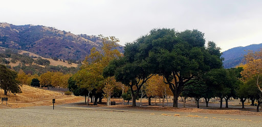 Pet Supply Store «Pet Food Express», reviews and photos, 1436 Old First St, Livermore, CA 94550, USA