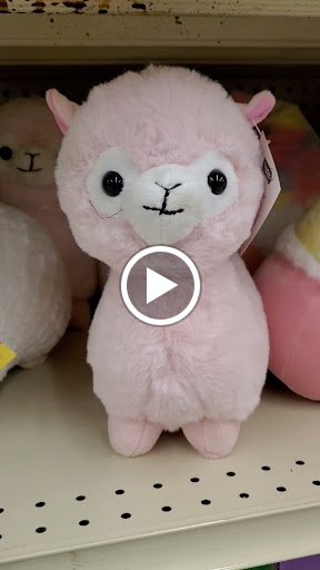 Grocery Store «Jewel-Osco», reviews and photos, 1157 N Eola Rd, Aurora, IL 60502, USA