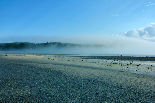 Tourist Information Center «Coastal Kayaking Tours Inc», reviews and photos, 48 Cottage St, Bar Harbor, ME 04609, USA