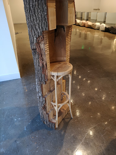 Art Center «MIT List Visual Arts Center», reviews and photos, 20 Ames St, Cambridge, MA 02142, USA