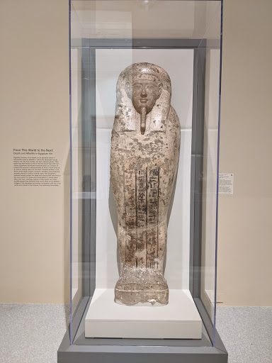 Art Museum «The Speed Art Museum», reviews and photos, 2035 S 3rd St, Louisville, KY 40208, USA