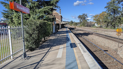 Muswellbrook Station