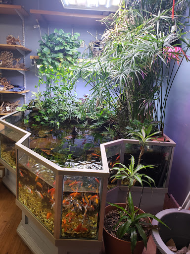 Pet Store «Claremont Pet & Aquarium Center», reviews and photos, 201 Washington St, Claremont, NH 03743, USA