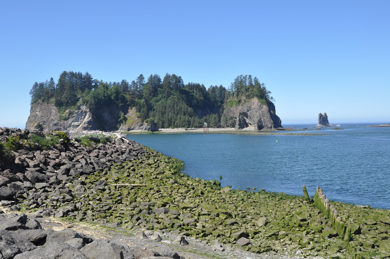 Fotografija First Beach Quileute Res. z visok stopnjo čistoče