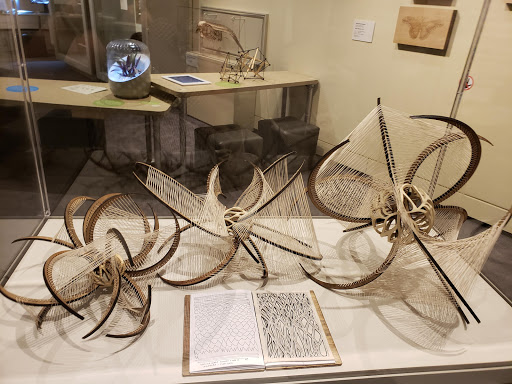 Clothing Store «Peabody Essex Museum Shop», reviews and photos, 161 Essex St, Salem, MA 01970, USA