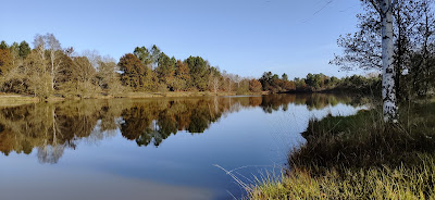 Lac du petit broustier à Laruscade
